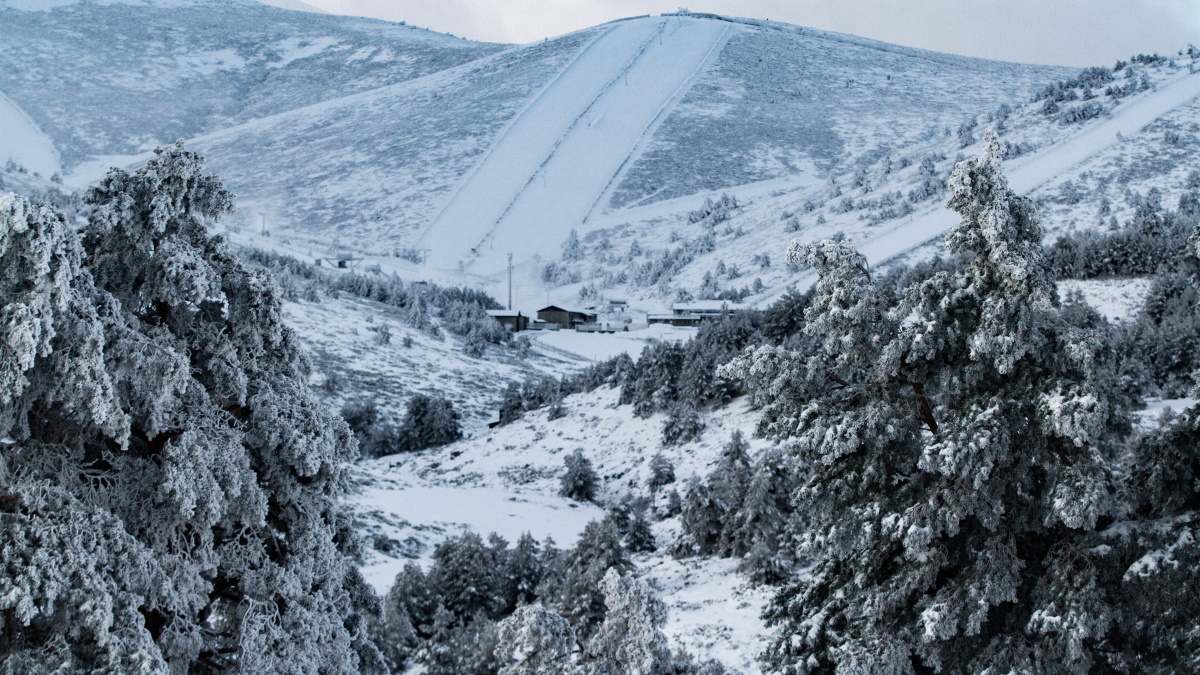 Cotos, en la sierra de Madrid.
