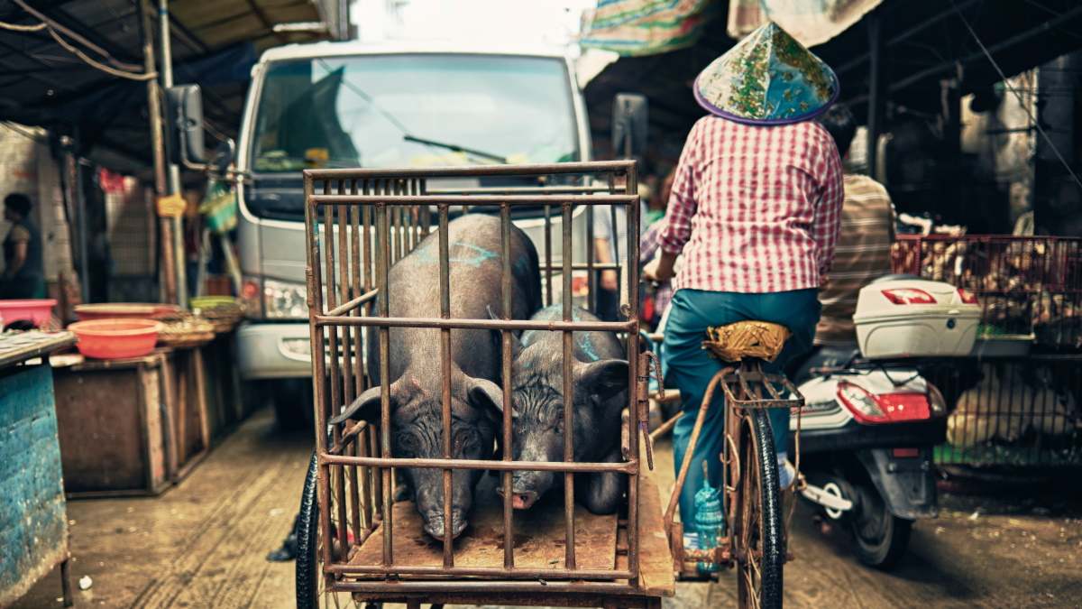 China deflación cerdo economía