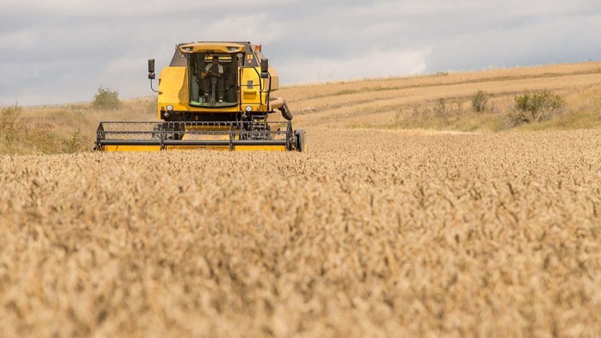 medio rural