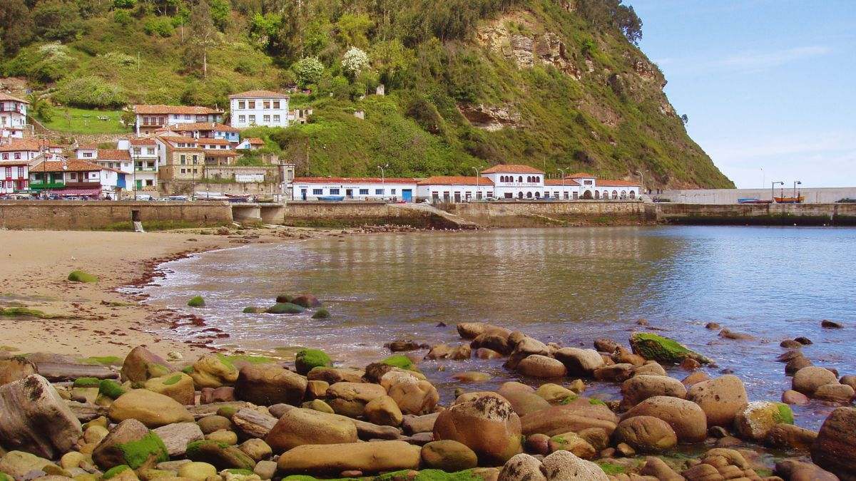 Tazones 