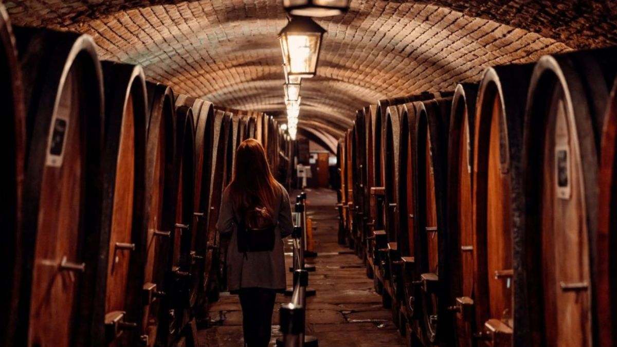Bodega de vino los Hospices Civils de Estrasburgo