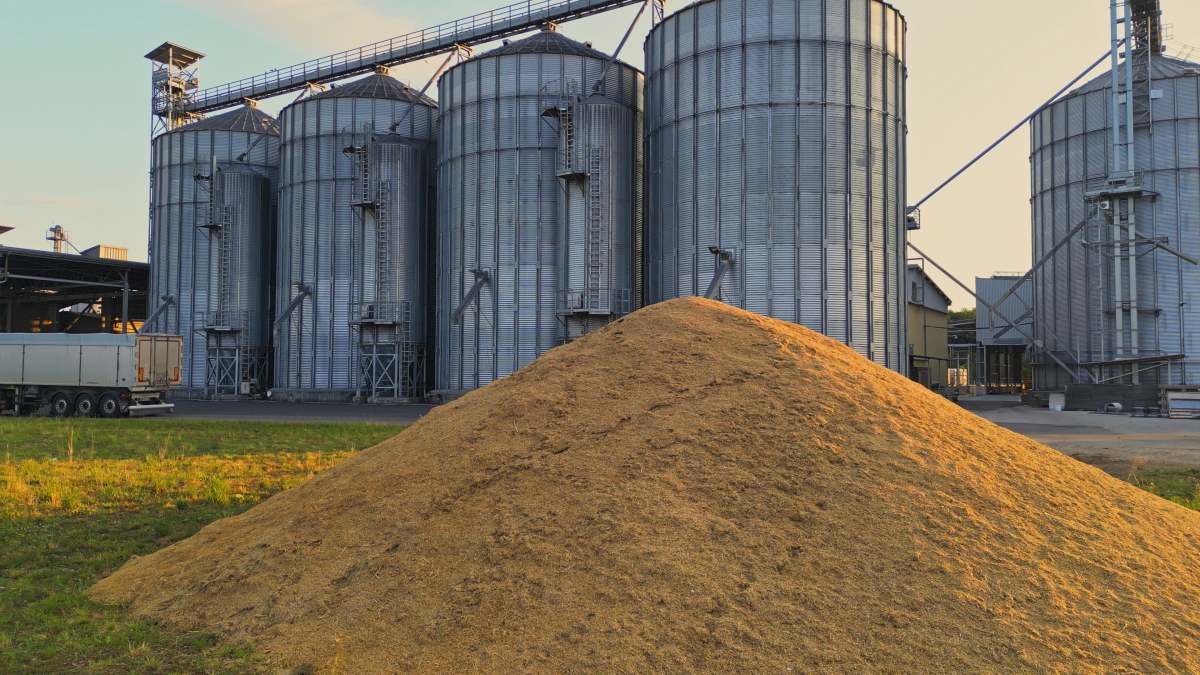 cereal grano acumulación materias primas