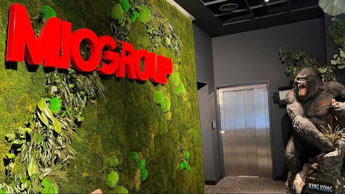 MioGroup Arbeloa