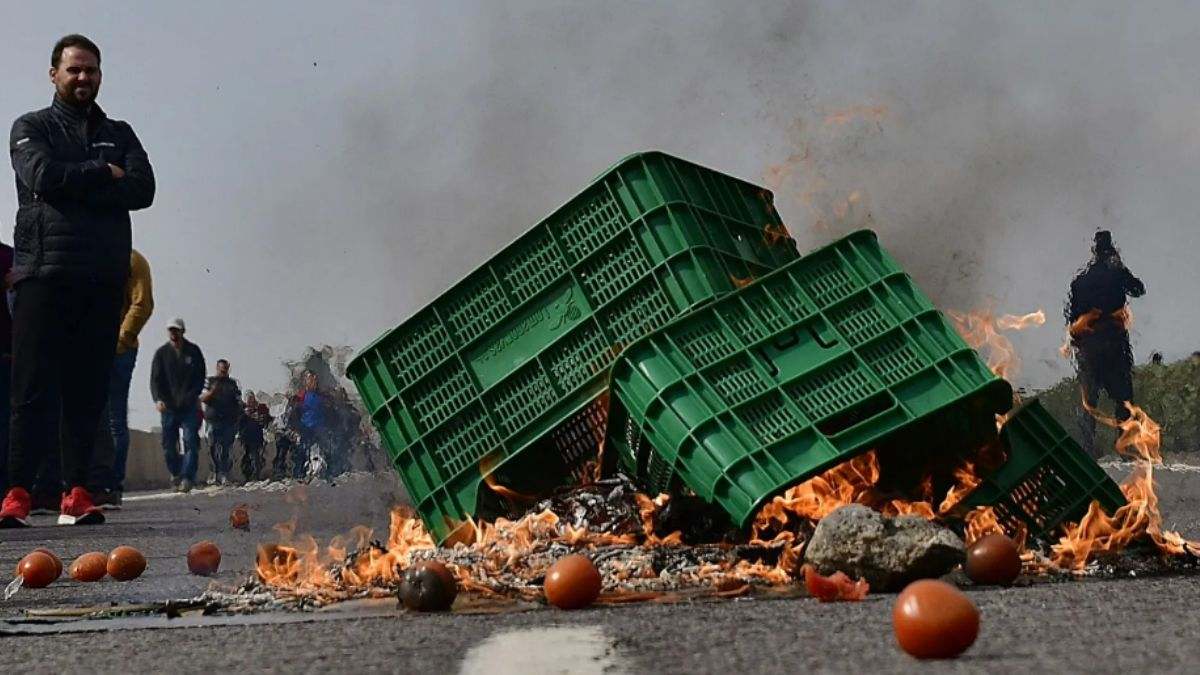 Las estrategias para frenar la crisis que vive el sector agrario