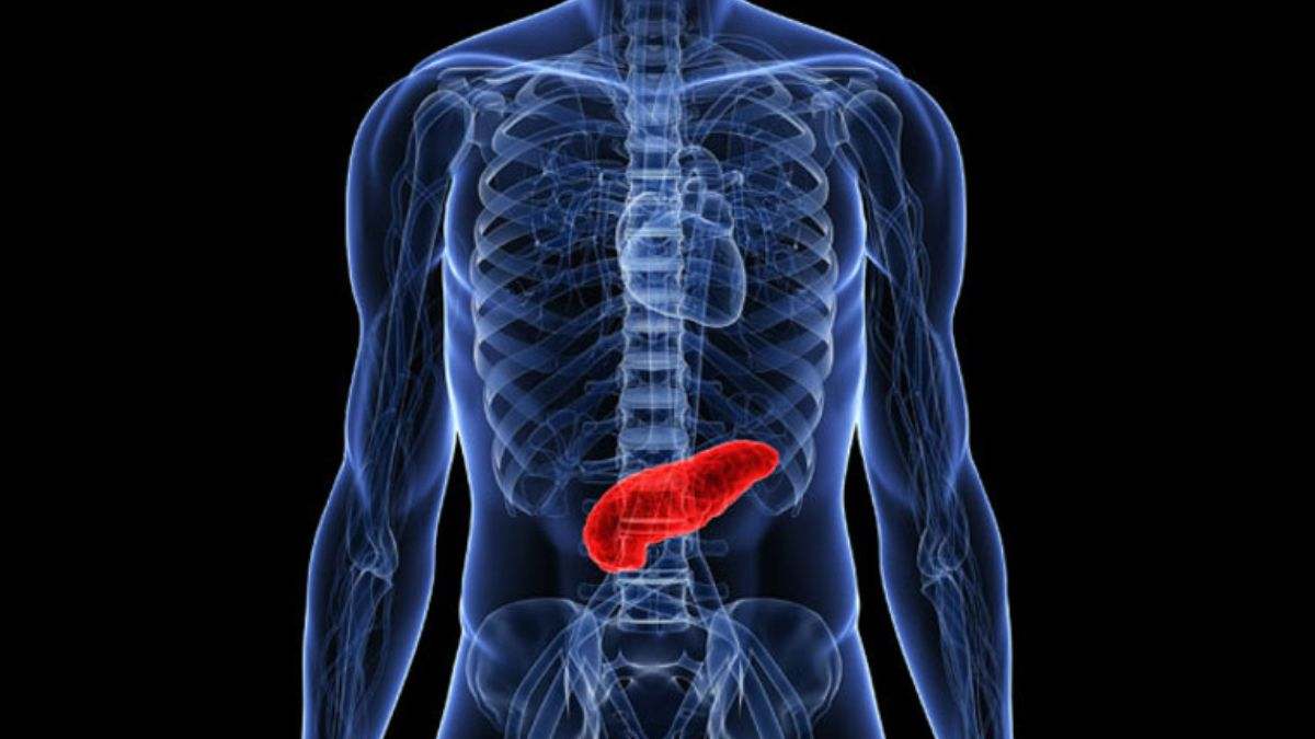 El cáncer de páncreas es uno de los tumores más agresivos del tracto digestivo