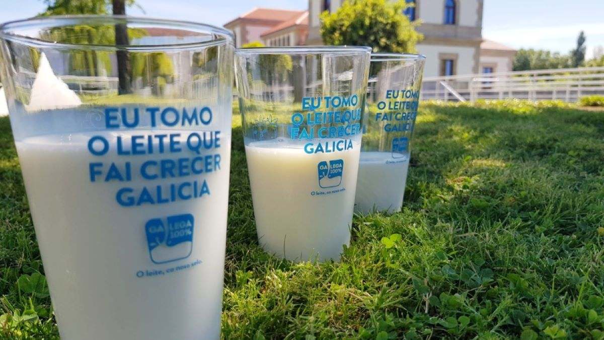El proyecto Smartz4milk prevé modernizar la industria láctea gallega.