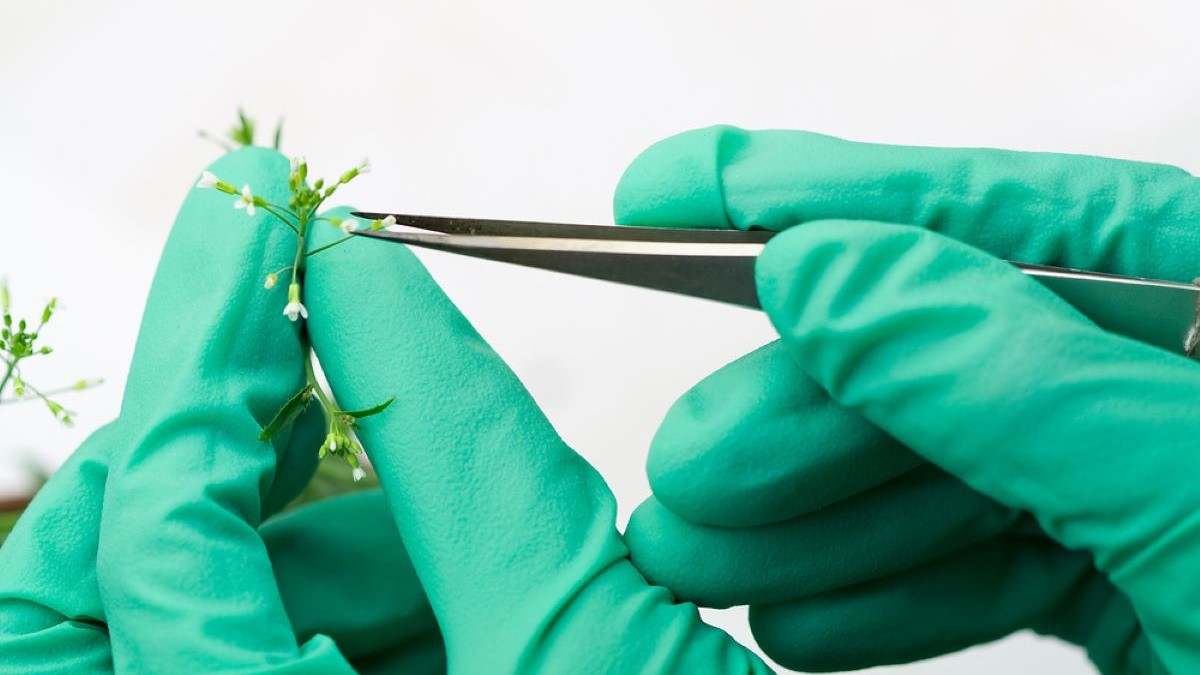 edicion-genetica-foto.jpg