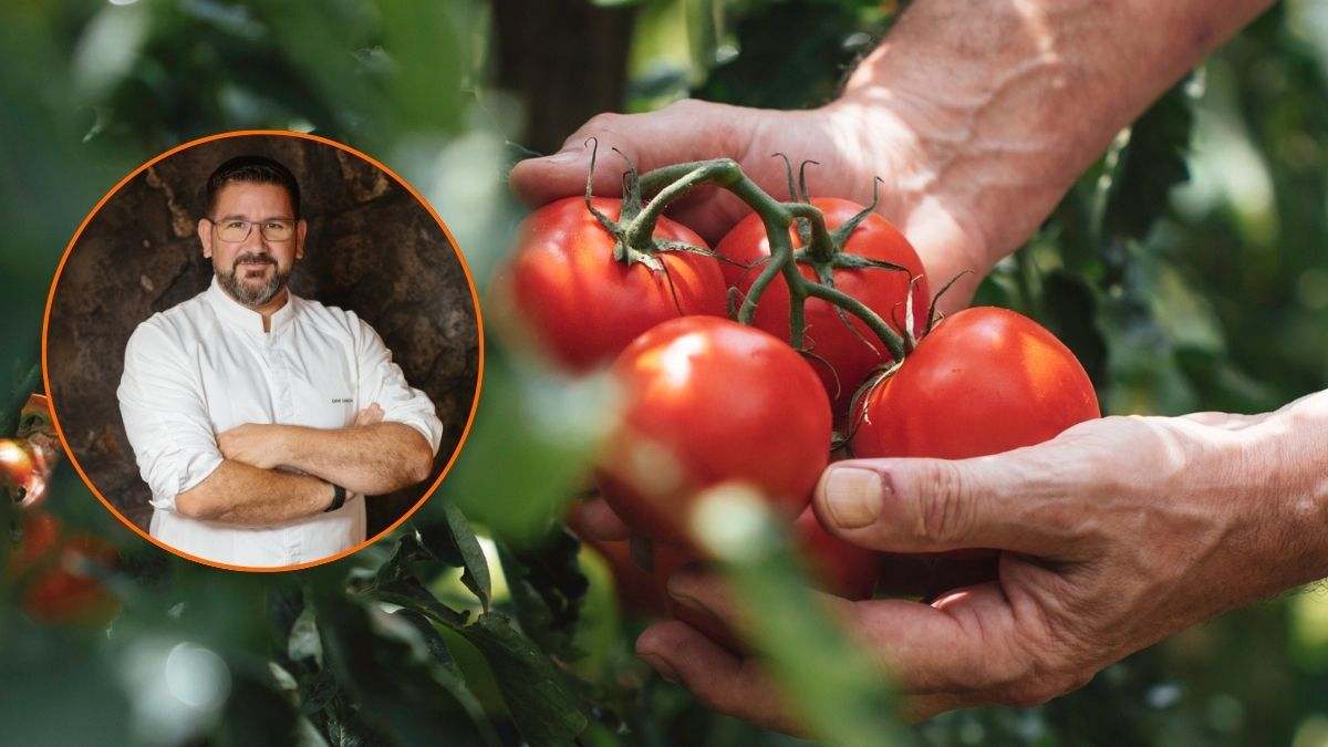 tomates