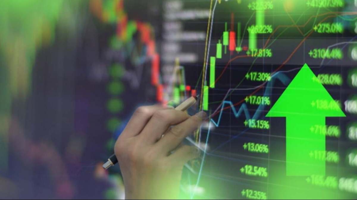 Pantalla de datos alfanuméricos