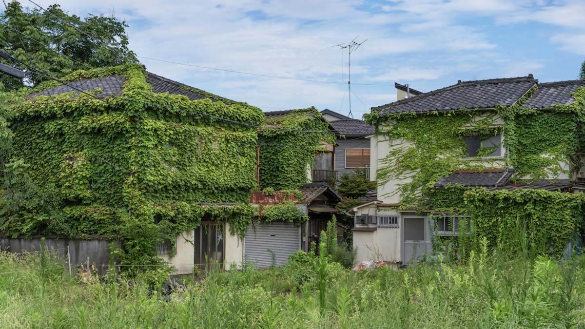 Japón vivienda abandonada economía inmobiliario