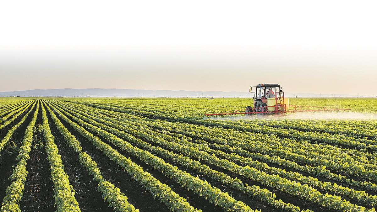 Imagen-Los-precios-suben-un-63-en-el-campo-tras-recibir-ayudas-de-1800-millones-1122836-0.jpg