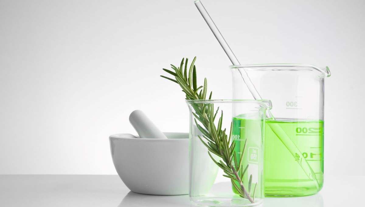 Plantas-medicinales.jpg