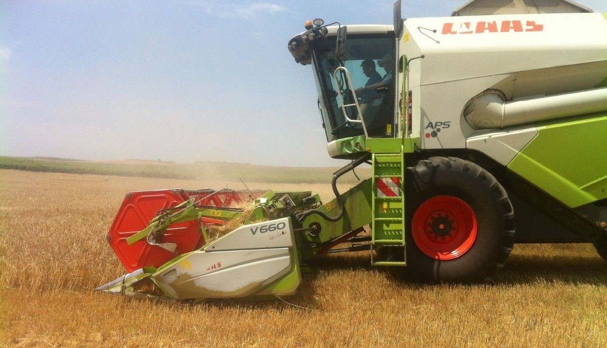 Cosecha-1200OK.jpg