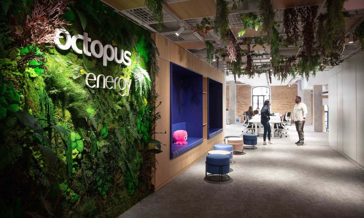 Octopus-Energy.jpg