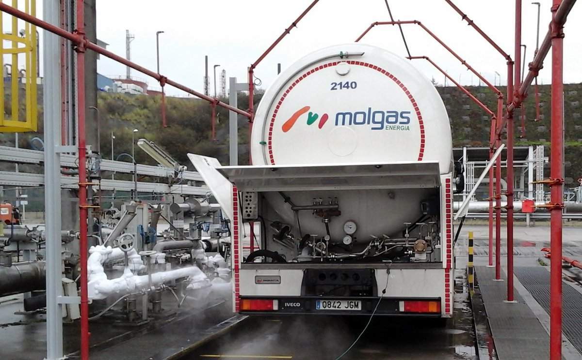 Molgas.jpg