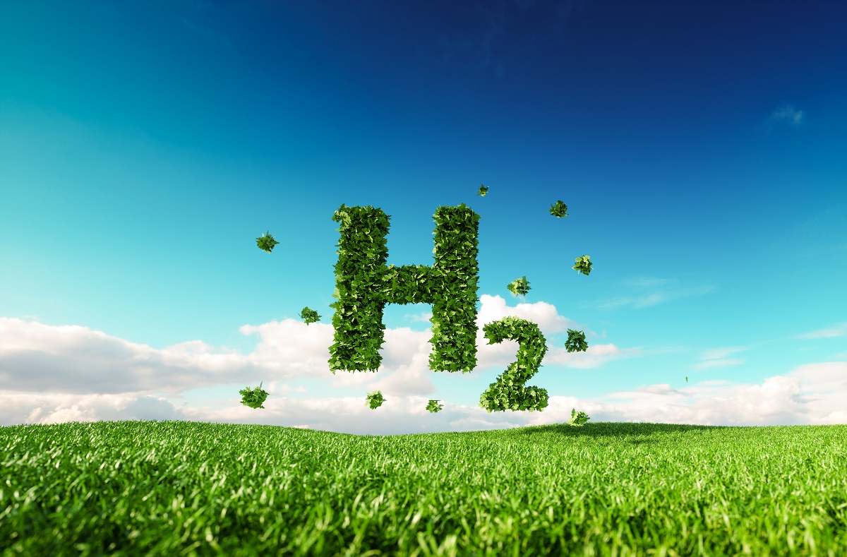 h2.jpg