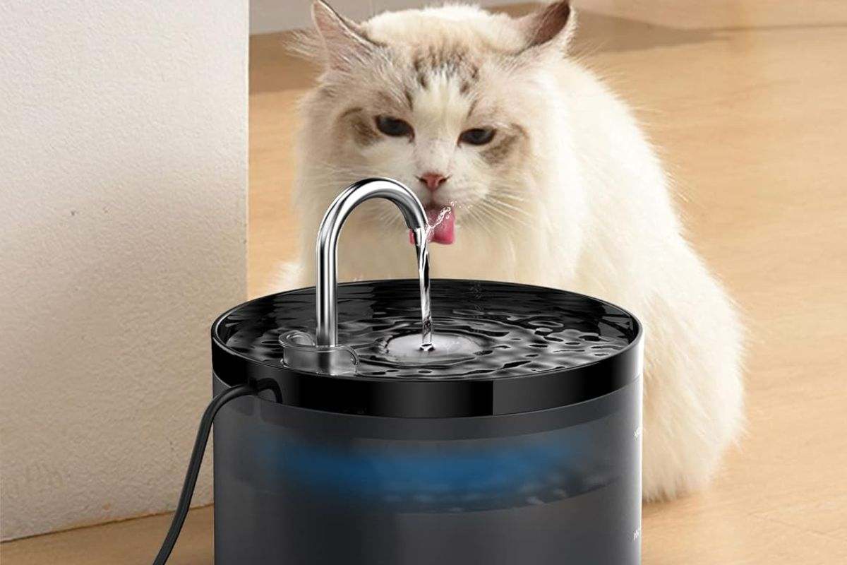 La mejor fuente para gatos con descuento