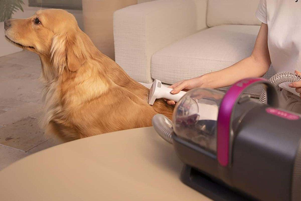 Cortapelos para perros PETKIT AIRCLIPPER
