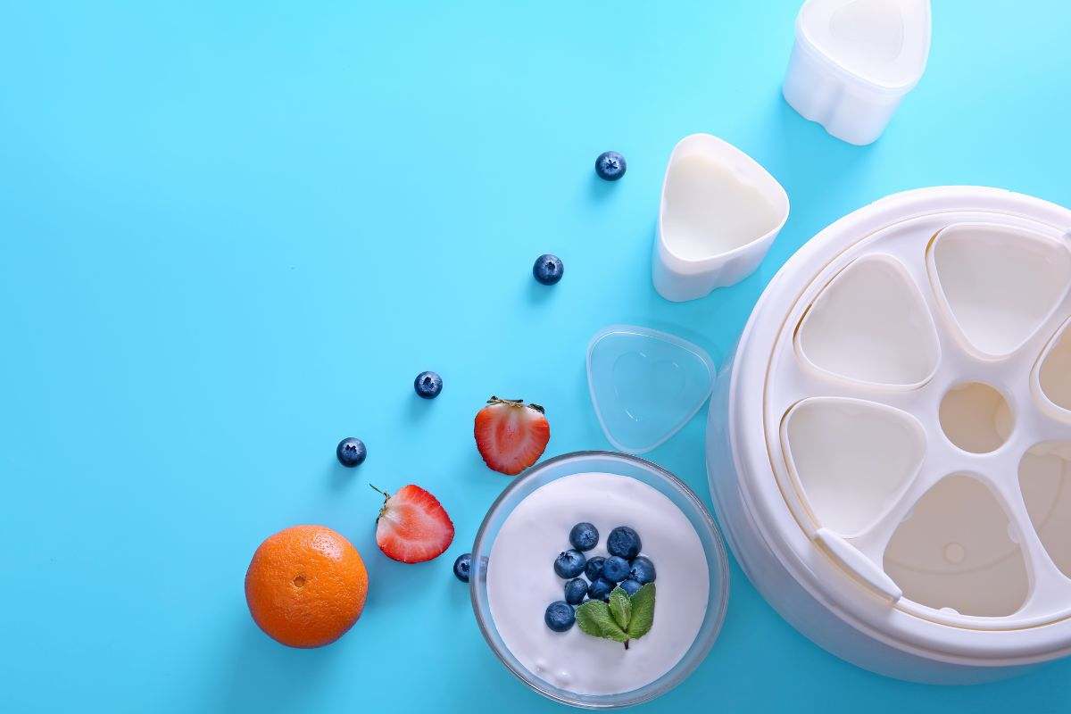 las-mejores-yogurteraseco