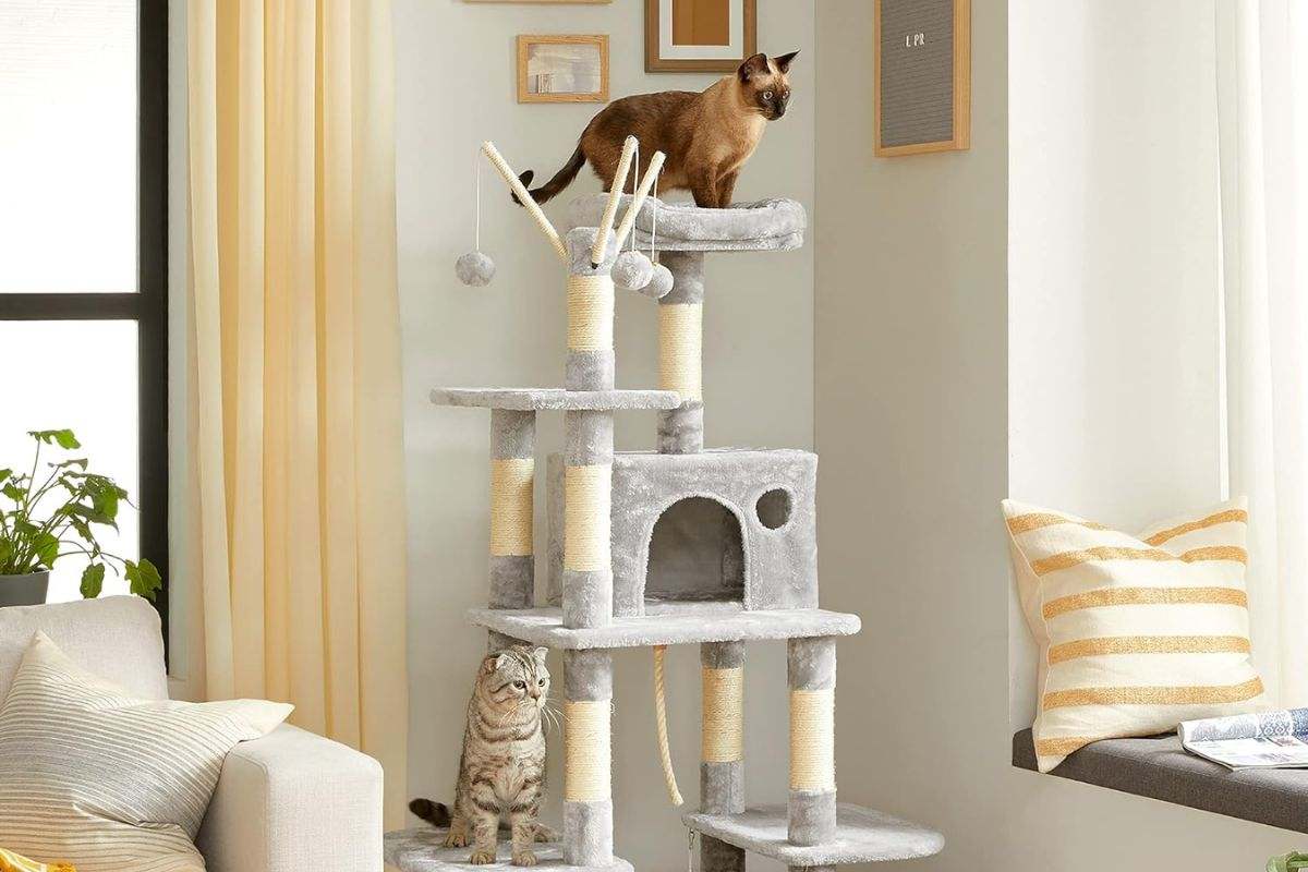 El mejor rascador para gatos con descuento