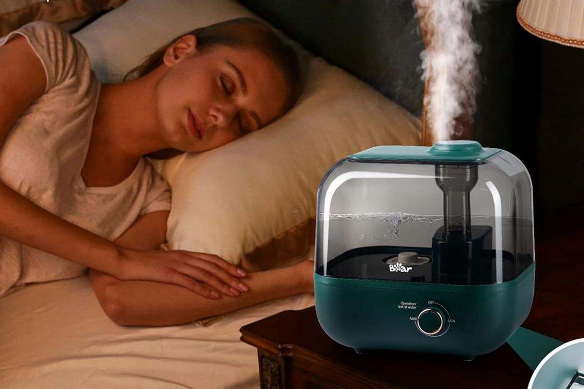 Bear humidificador
