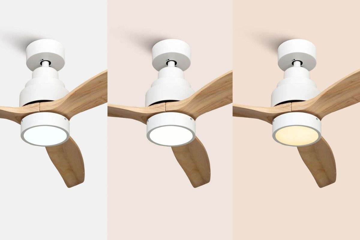 El mejor ventilador de techo con descuento