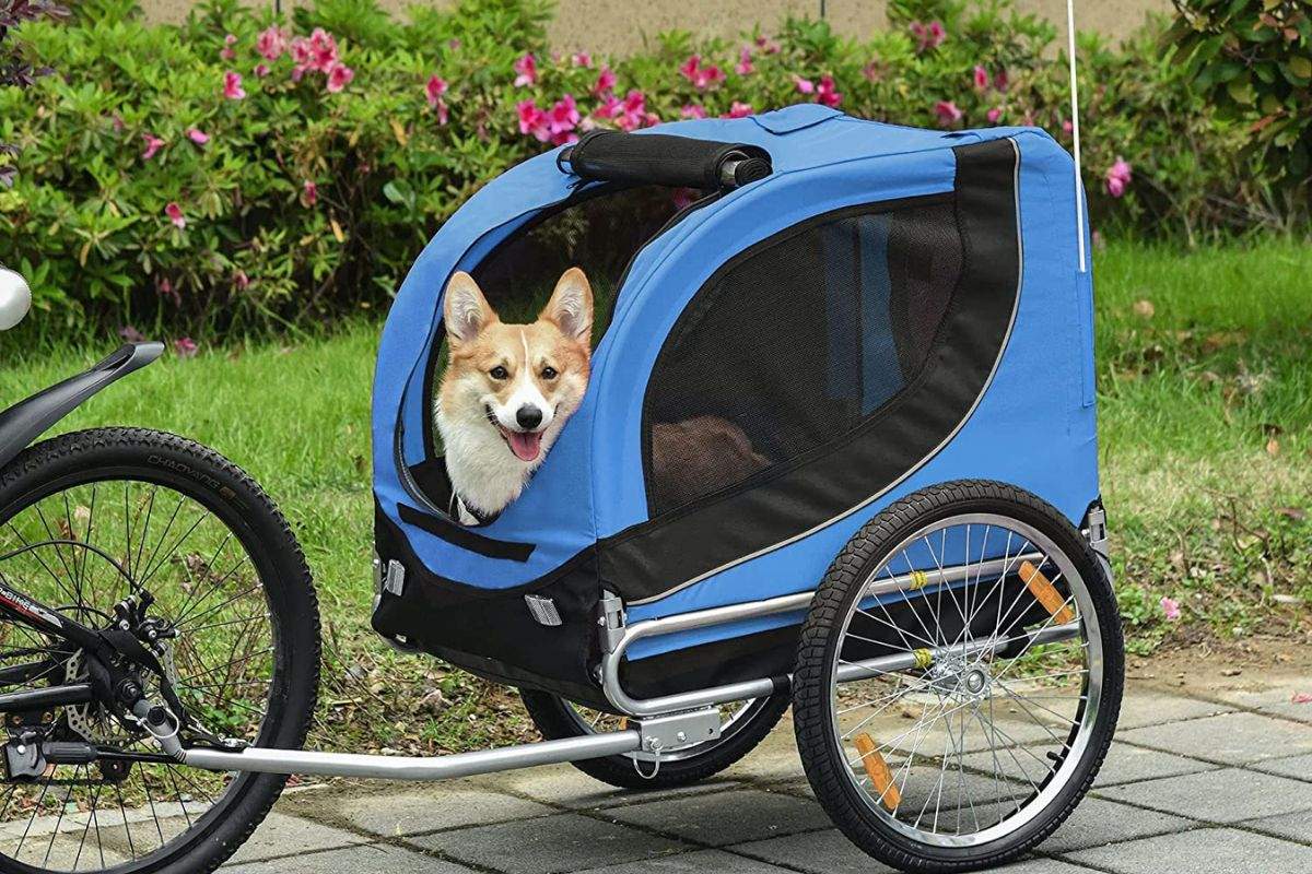 Los-mejores-remolques-de-bicis-para-perros.jpg