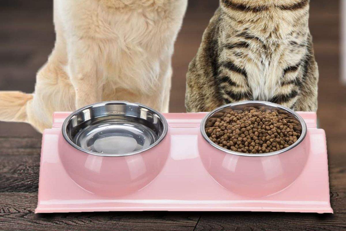 Los-mejores-cuencos-comederos-antiderrames-para-tu-mascota-en-Amazon.jpg