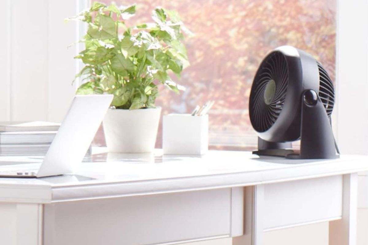 Ventilador Honeywell TurboForce