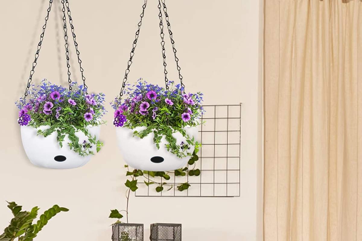Las-mejores-cestas-colgantes-para-plantas-que-te-permitiran-decorar-tu-balcon-y-ahorrar-espacio.jpg