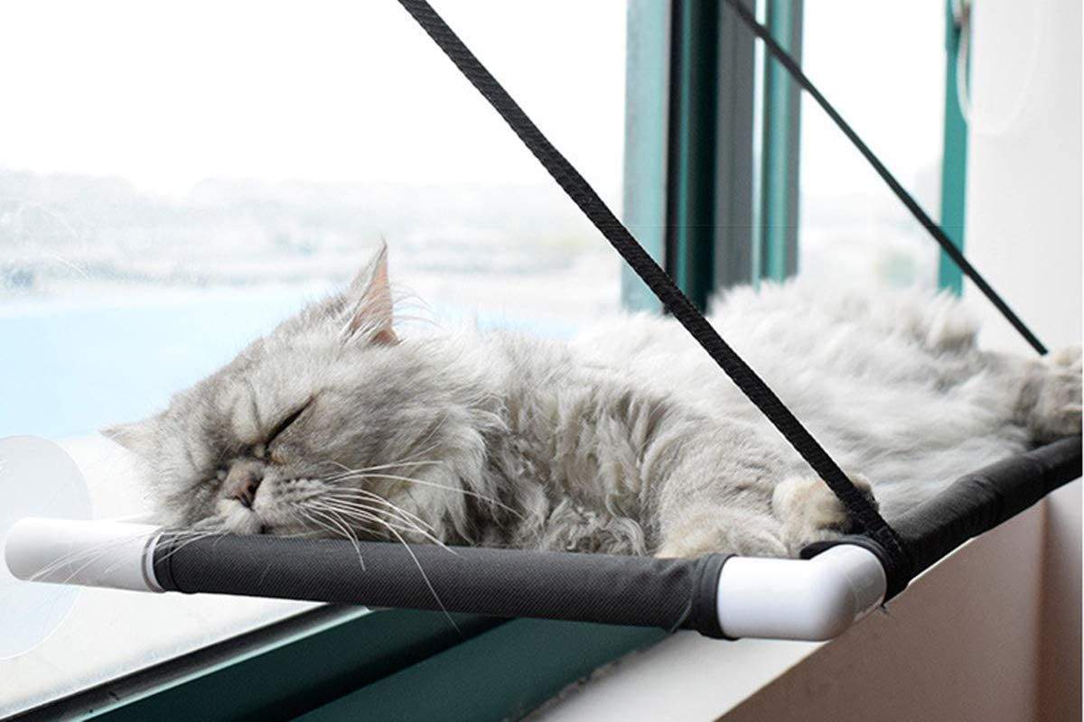 Las-mejores-hamacas-de-gatos-para-brindarle-a-tu-felino-un-espacio-de-descanso-desde-las-alturas.jpg