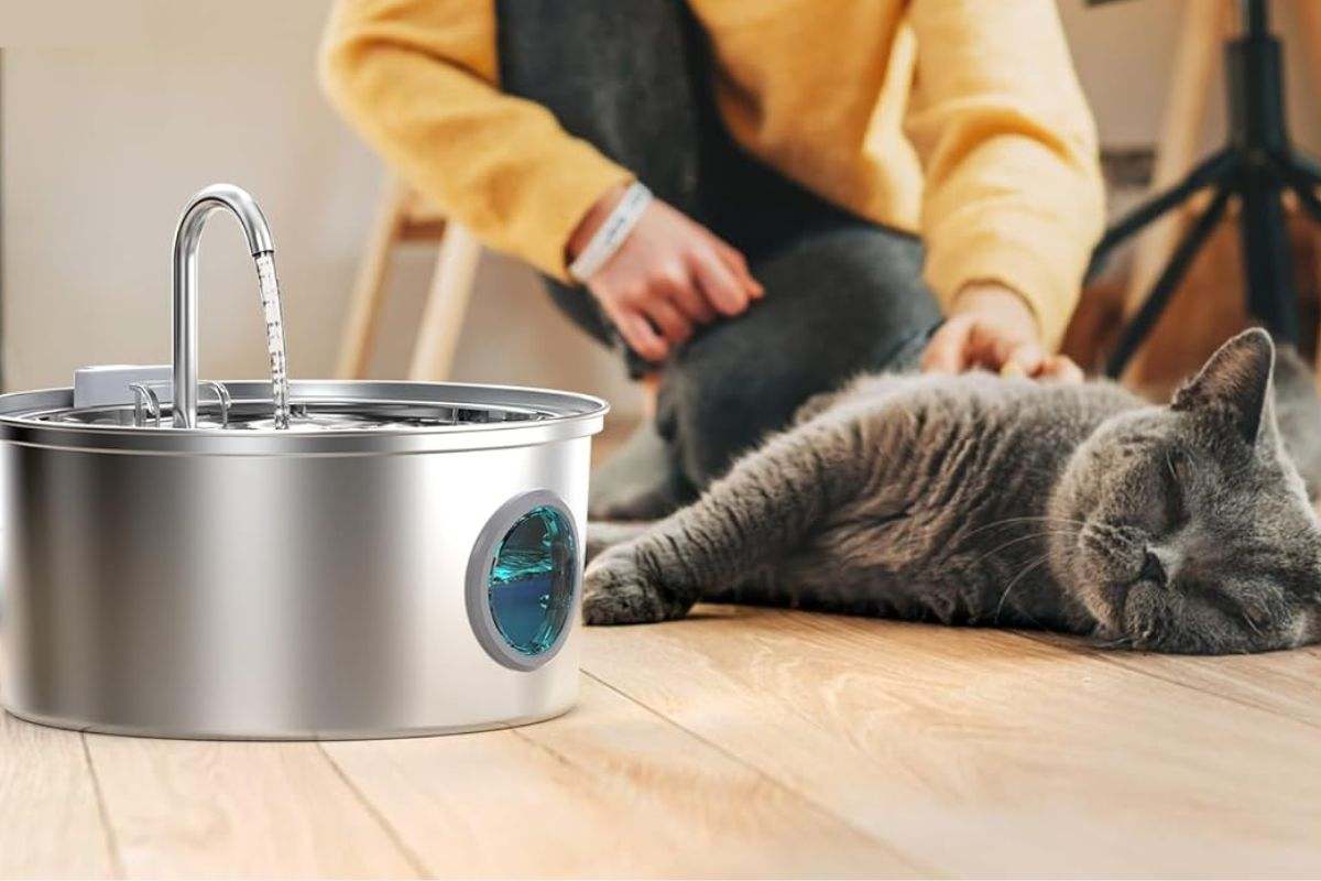Fuente para gatos FOFNON