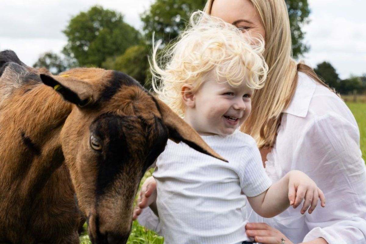 Las mejores leches de fórmula son leche de cabra
