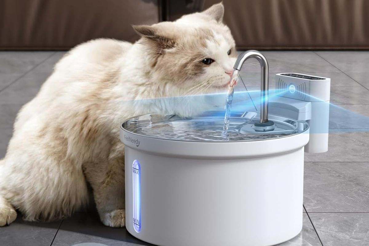 La mejor fuente para gatos con descuento
