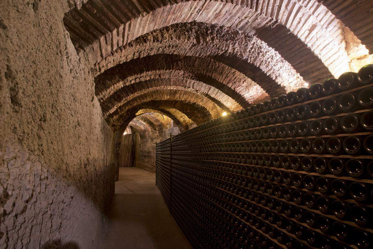 bodegarioja.jpg
