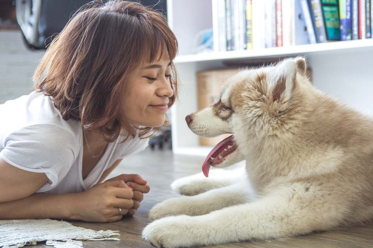 Perro junto a una chica