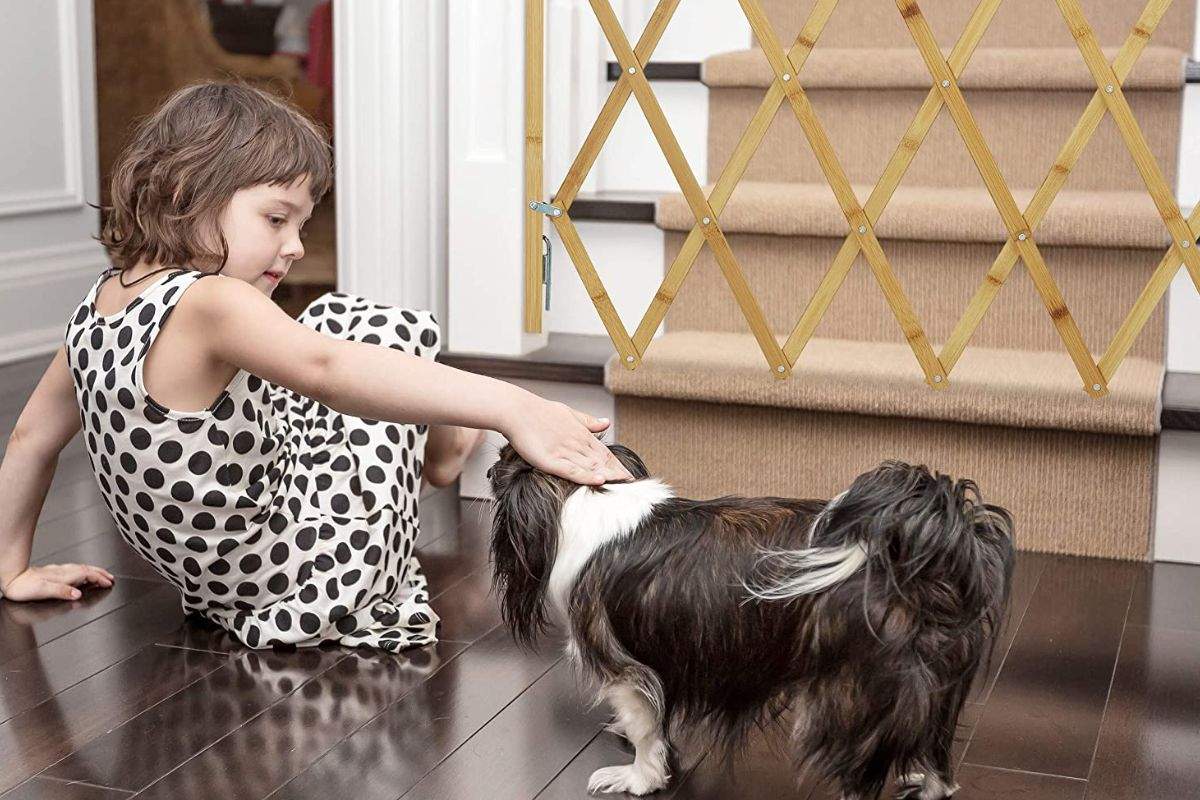 Delimita-el-espacio-de-tu-mascota-con-la-maxima-seguridad-gracias-a-las-barreras-protectoras-para-perros.jpg