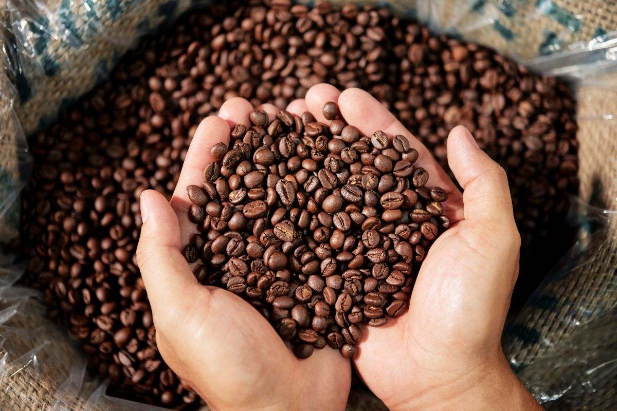 mejores cafés en grano