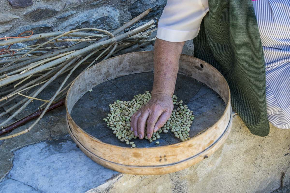 agroalimentacion huyesca