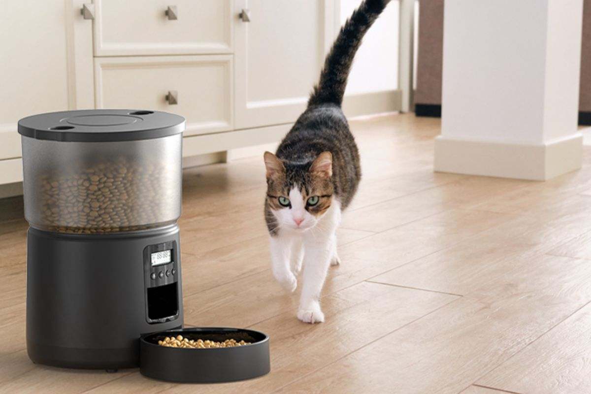 Comedero automático para gato de BEMOONY