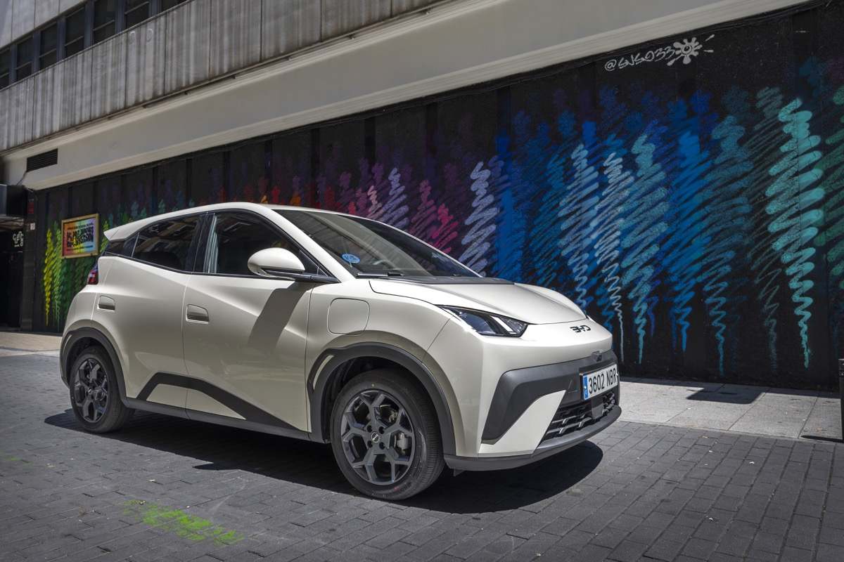 BYD Dolphin Surf