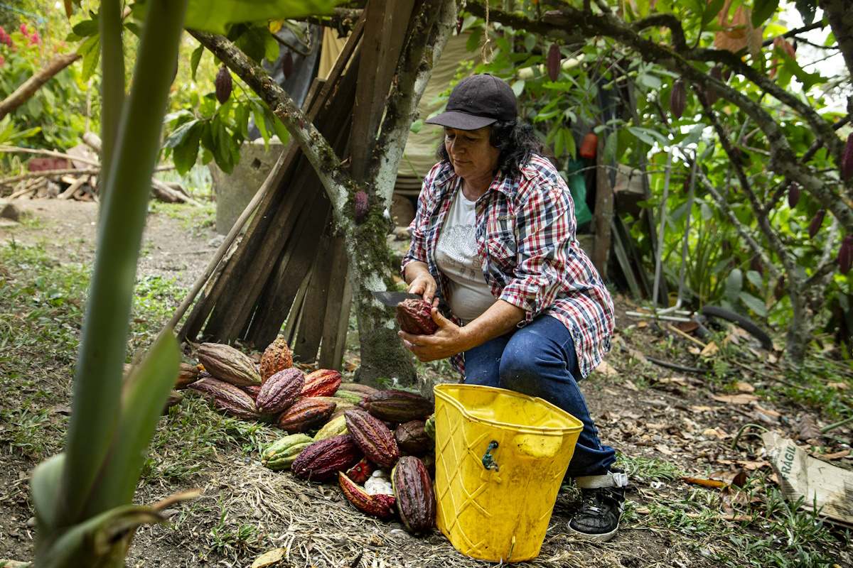 Productora de cacao colombiana, Dana Araque.