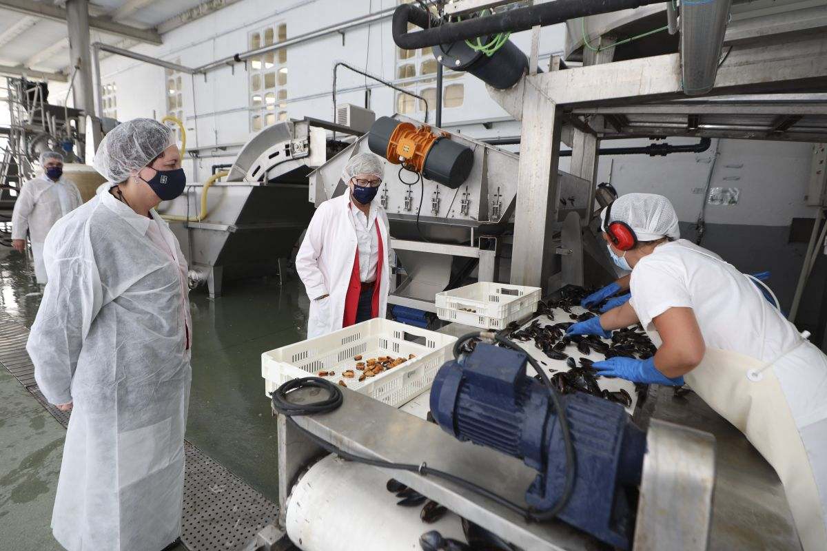 Empleados del sector de la tecnología trabajan en un nuevo proyecto.