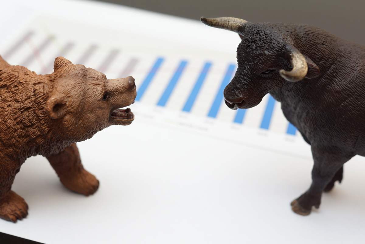 oso-vs-toro-iStock.jpg