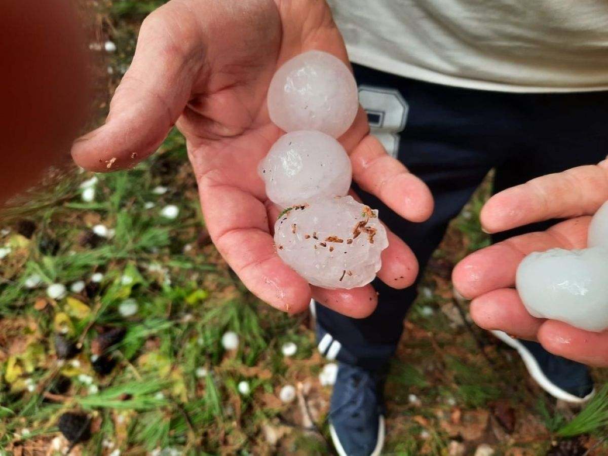 Granizo daña los cultivos