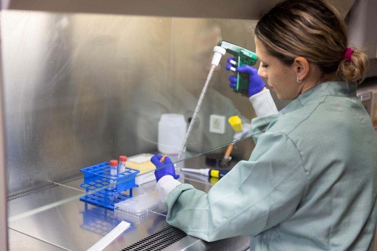 investigacion-universidad.jpg