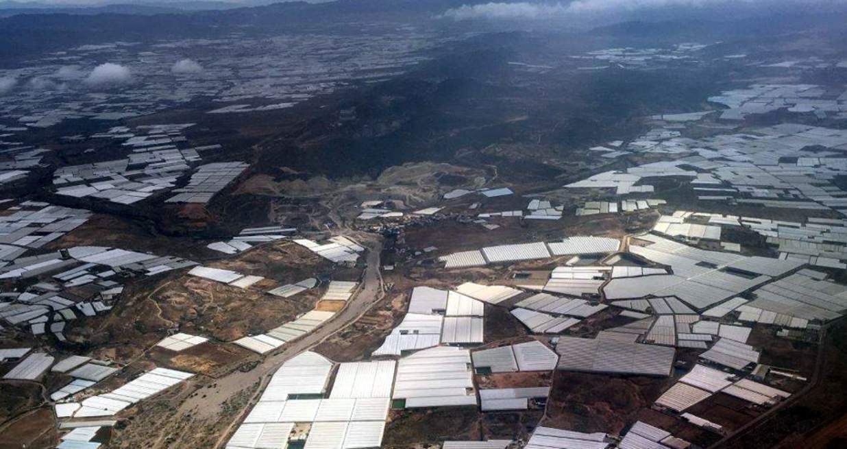 invernaderos-almeria.jpg