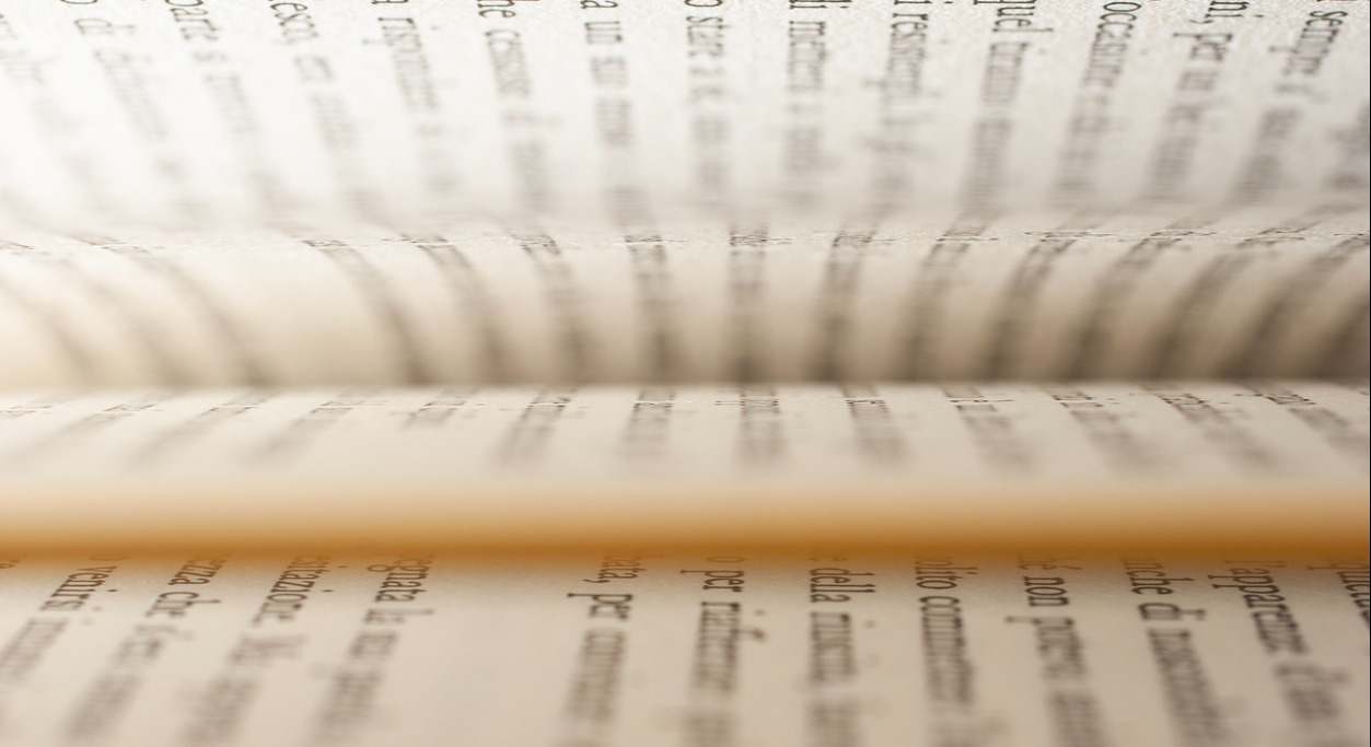 hojas-libro