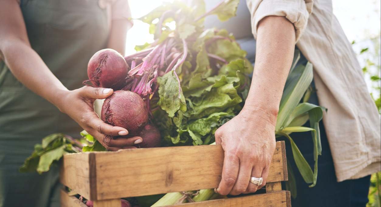 Descubre en este artículo que es la dieta planetaria y cuáles son sus beneficios tanto para el planeta como para la salud.