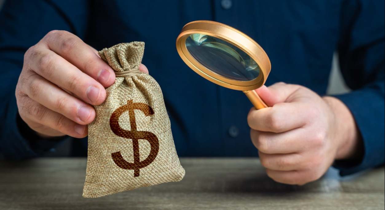 bolsa-dinero-lupa